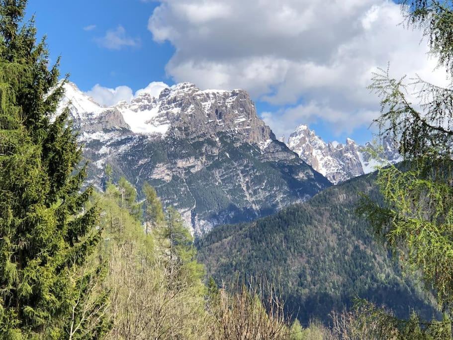 Appartamento Giada Pozzale Di Пьеве-ди-Кадоре Экстерьер фото